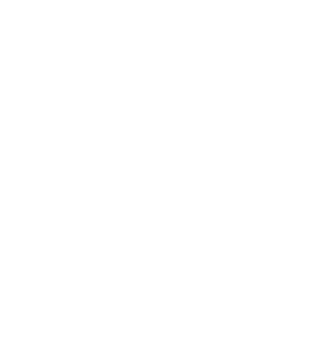 Cert Icon White