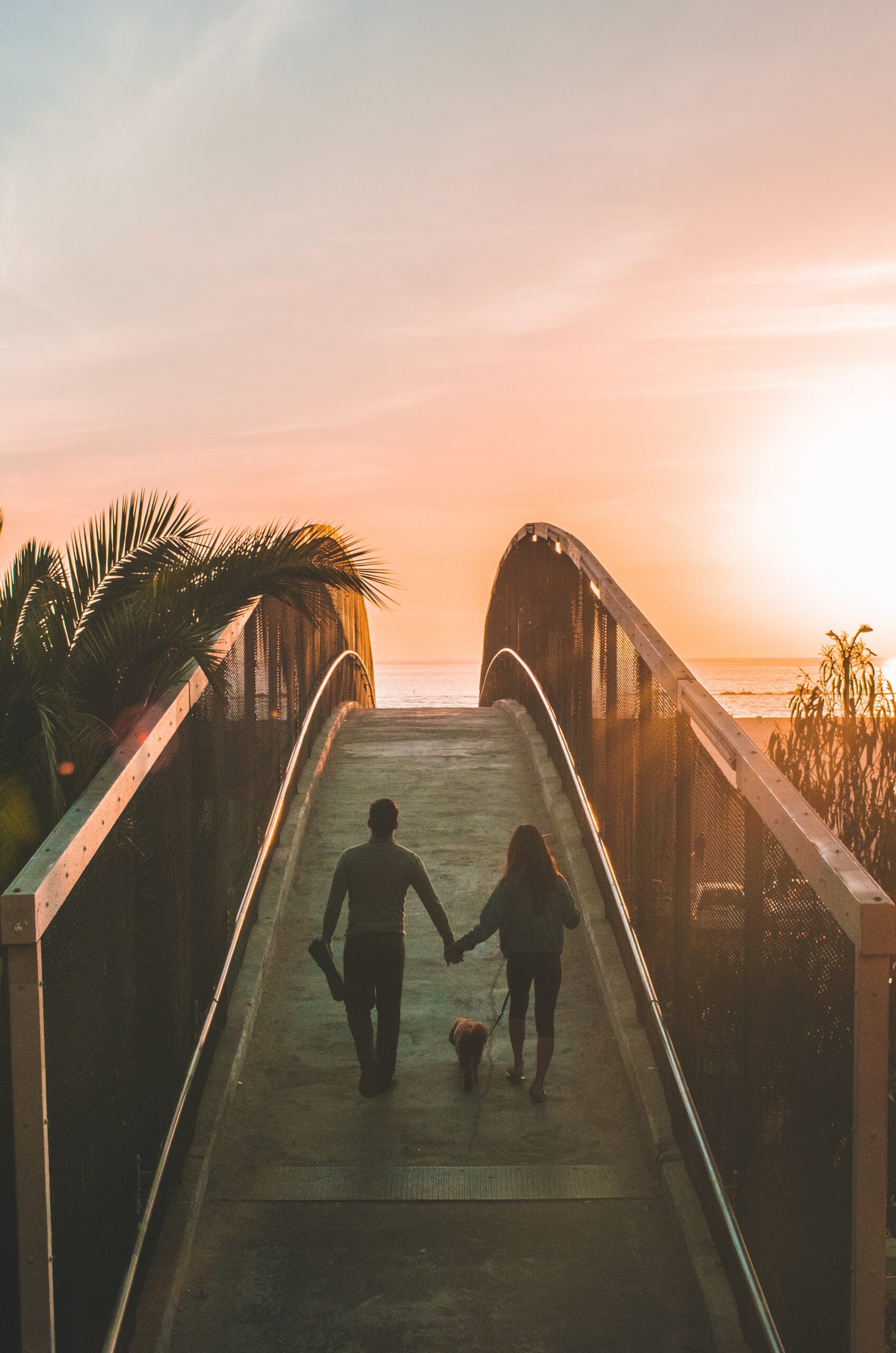shea-rouda-mRQk1B4OM0k-unsplash